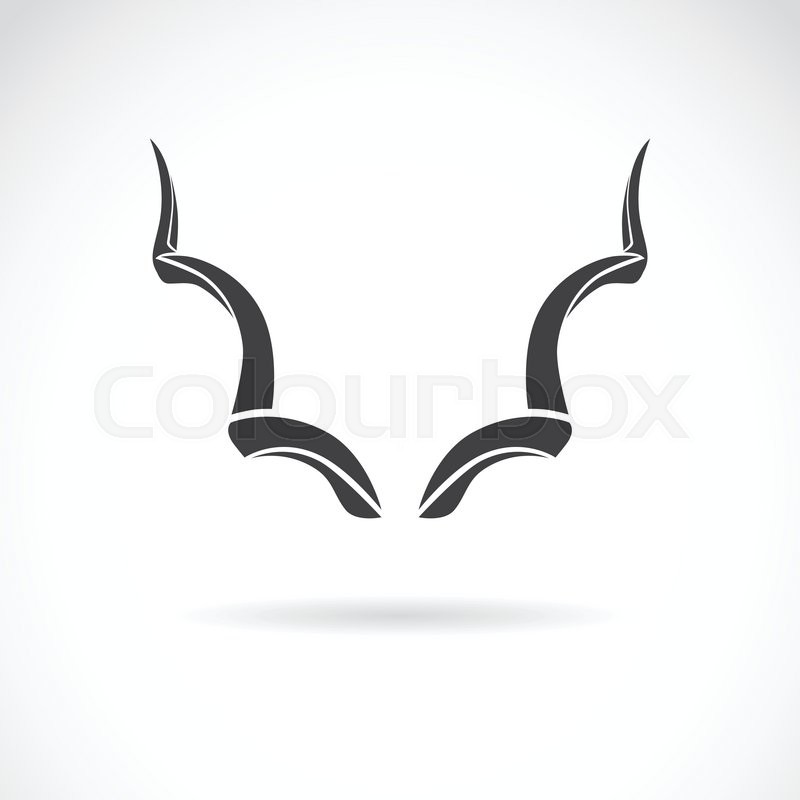 800x800 Vector Image Of An Horns On A White Background, Greater Kudu