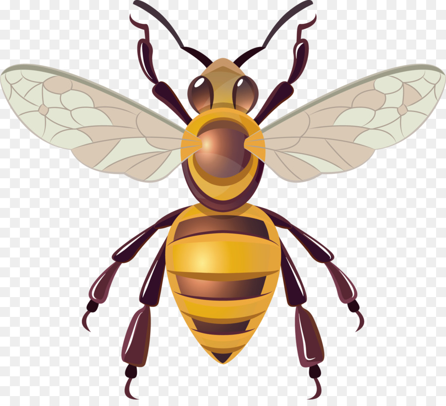 900x820 Honey Bee Hornet Insect