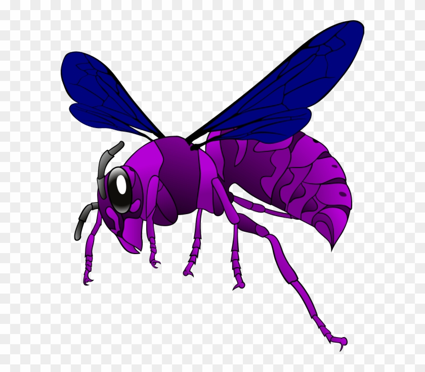 840x735 Hornet Vector Clip Art