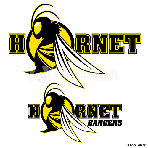 500x500 Hornet Vector Logo