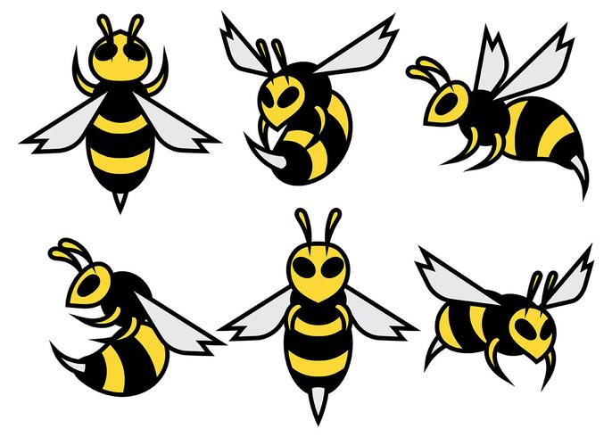 686x490 Hornets Vector Icons