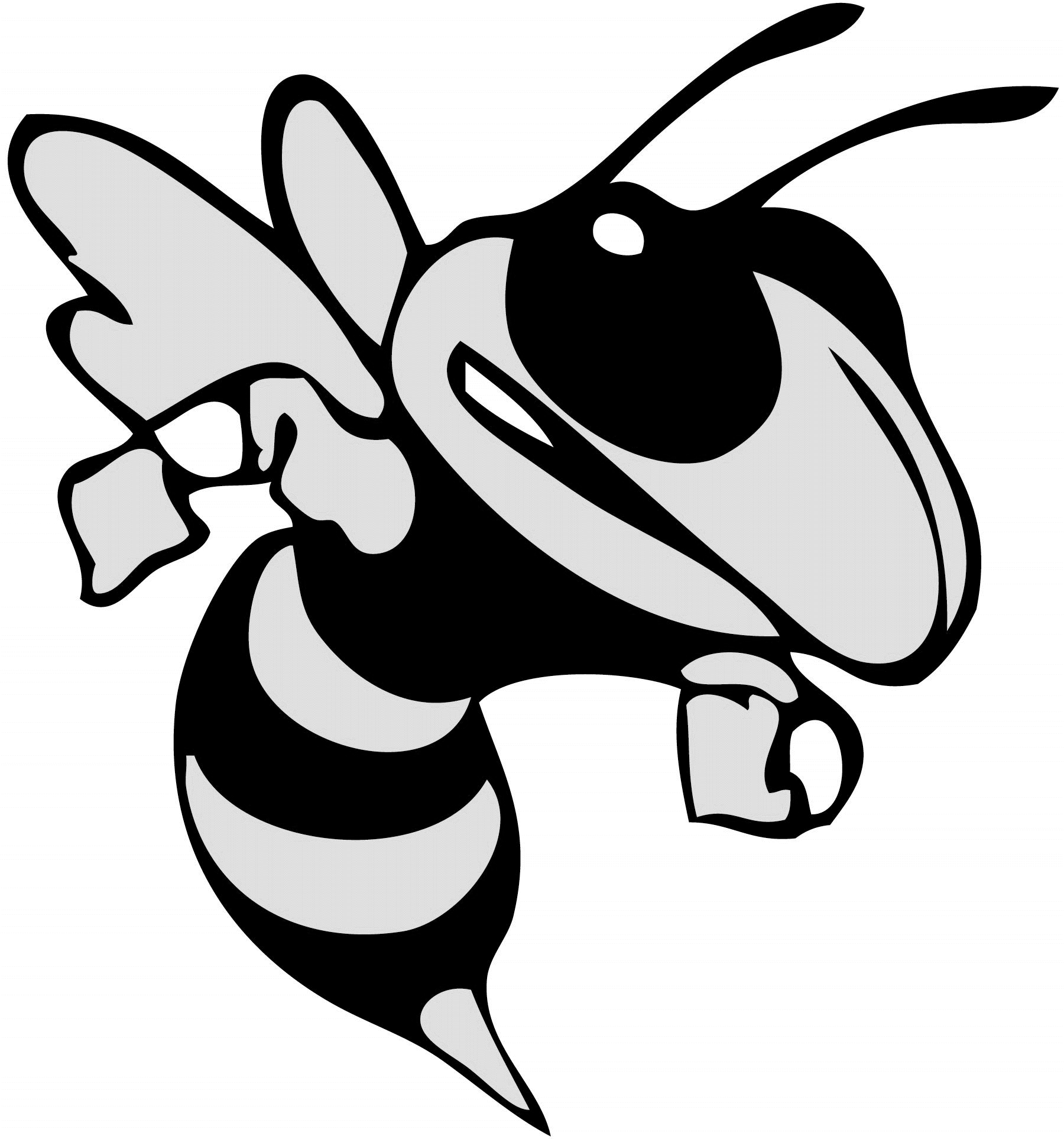 Hornet Vector at GetDrawings | Free download