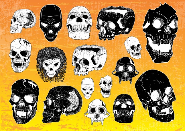 646x456 Skull Vector Art Pack Download