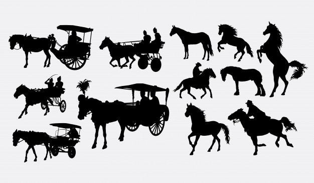 626x364 Carriage Horse Vectors, Photos And Psd Files Free Download