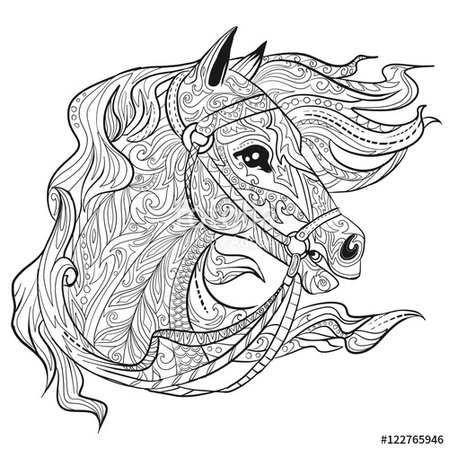 500x500 Hand Drawn Doodle Horse Face Page. Animal Head. Illustration For