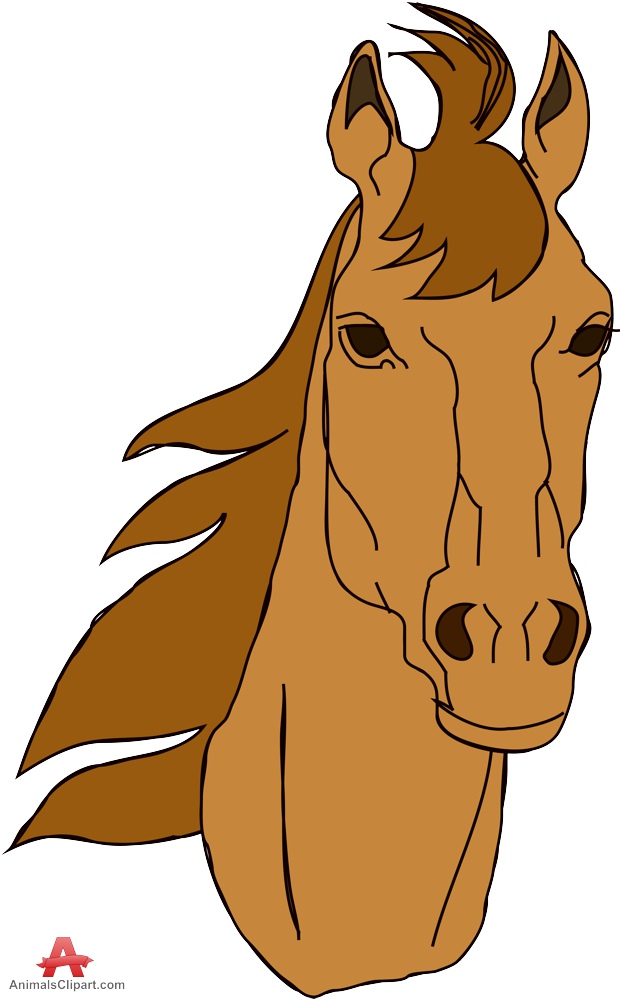 622x999 Stallion Clipart Horse Face