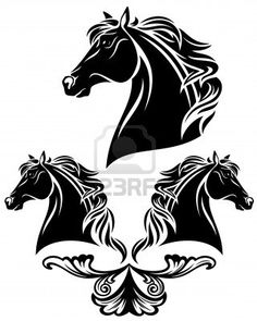 Horse Head Vector
