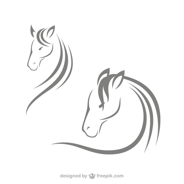 626x626 Horse Head Vectors, Photos And Psd Files Free Download