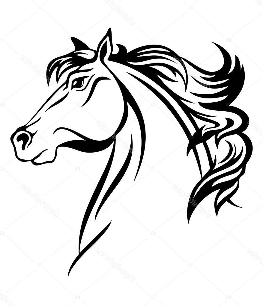 877x1023 Top Stock Illustration Horse Head Vector Art Drawing