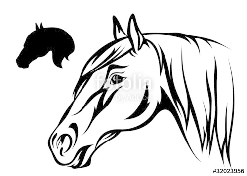 500x357 Horse Head Vector Illustration Stock Image And Royalty Free