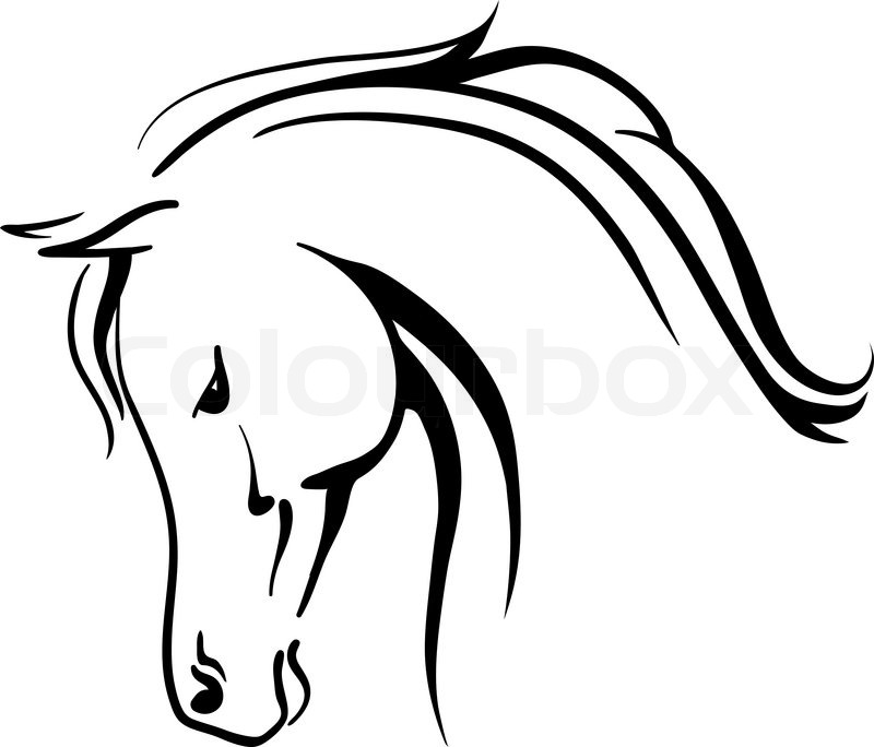 800x684 Clip Art Arabian Horse Stylised Head Stock Vector Colourbox