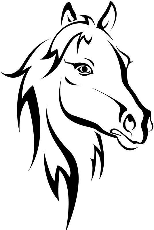 535x800 Stock Horse Head Image Freeuse Stock