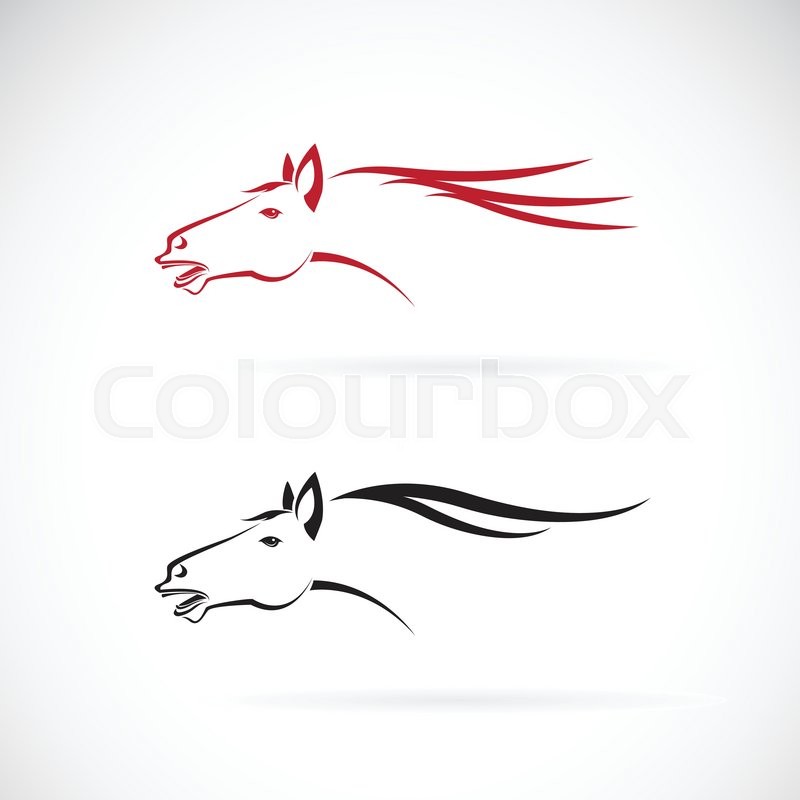 800x800 Vector Images Of Horse Head Design On A White Background, Horse