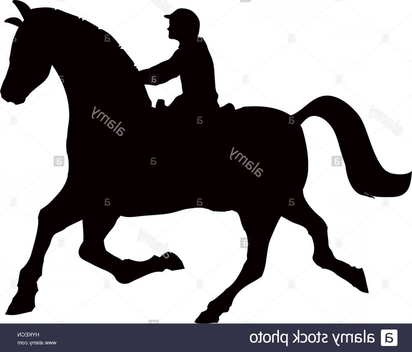 1560x1334 Stock Photo Horse Riding Equestrian Sport Icon Vector Illustration