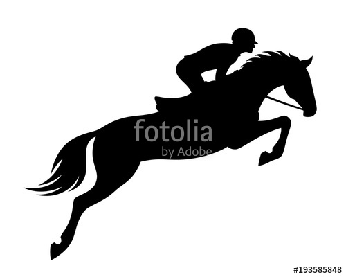 500x400 Horse Jumping On A White Background Stock Image And Royalty Free