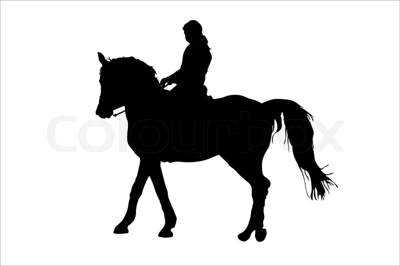 800x533 Vector Illustration Of Horsewoman And The Horse Under The White