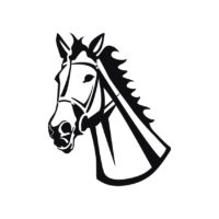 200x200 Head Horse Vector Vectors, Photos, Background, Psd Files