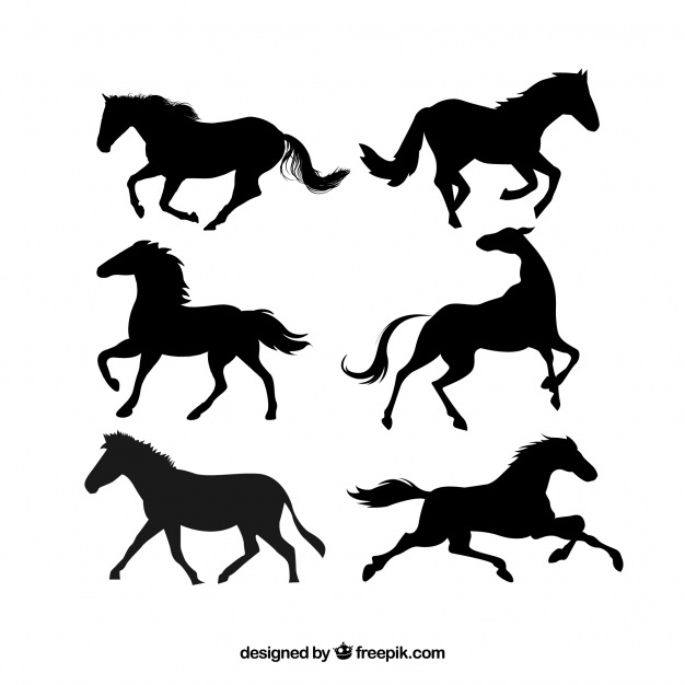 626x626 Horse Silhouette Vectors, Photos And Psd Files Free Download