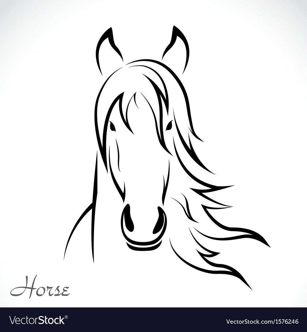 1000x1080 Horse Vector 1576246 20