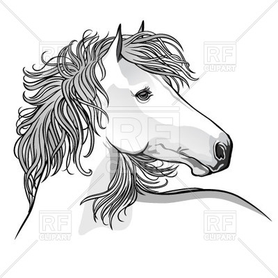 400x400 Sketch Of Hand Drawn Horse Vector Image Vector Artwork Of Plants