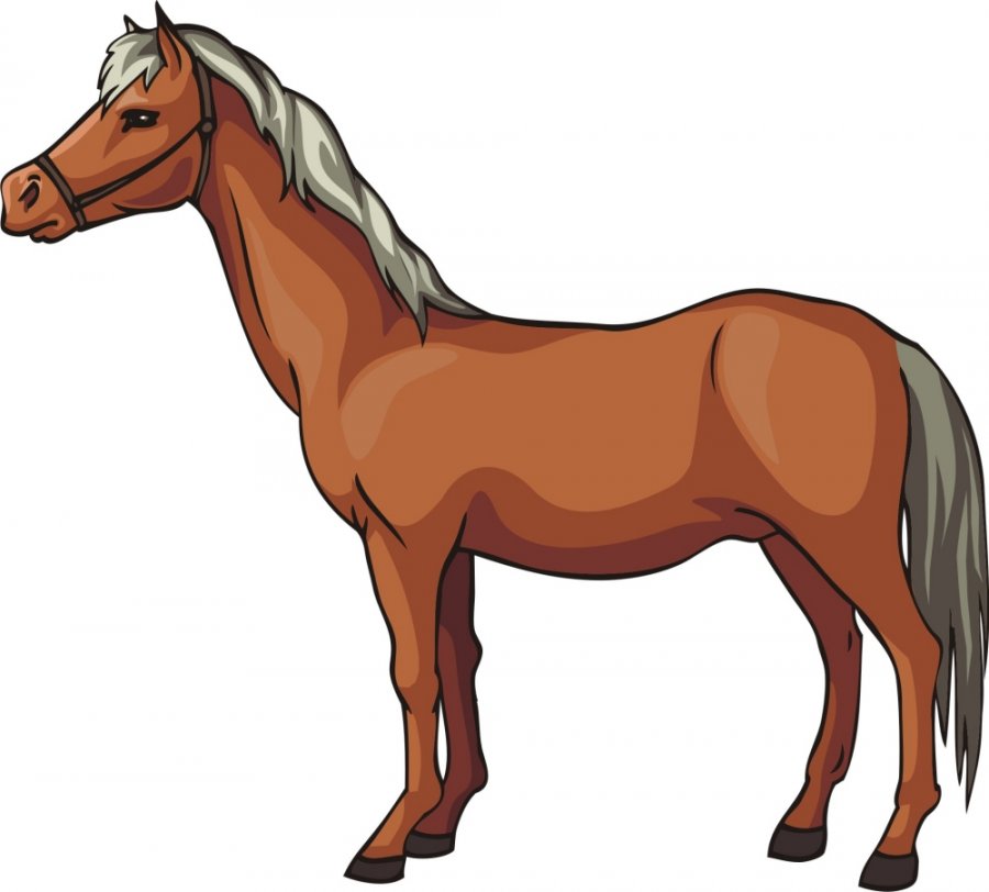 900x812 Horse Vector 8 An Images Hub