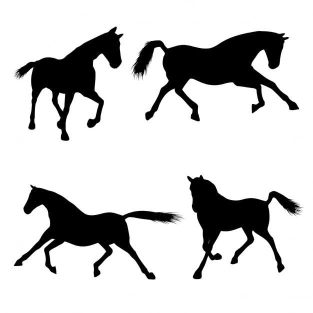 626x626 Galloping Horse Vectors, Photos And Psd Files Free Download