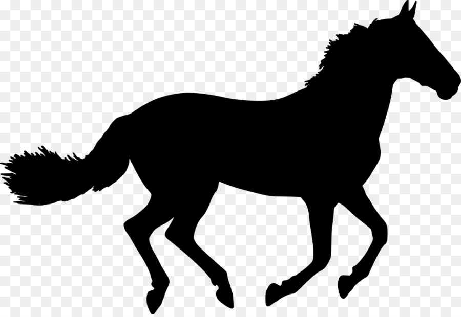 900x620 Horse Drawing Silhouette Clip Art