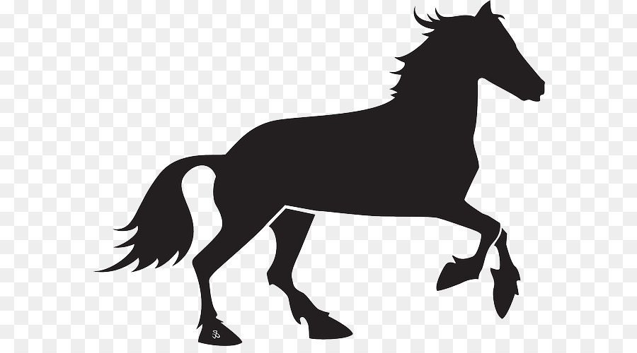 900x500 Horse Vector Graphics Clip Art Drawing Image