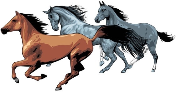 562x295 Horse Free Vector Download (798 Free Vector) For Commercial Use