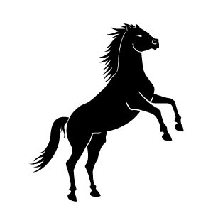 300x300 Horse