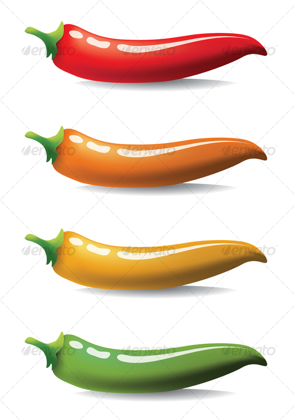590x840 Vector Chilli