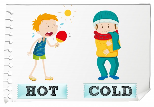 626x436 Hot Vectors, Photos And Psd Files Free Download