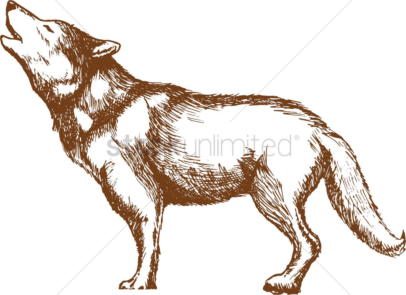 Howling Wolf Vector at GetDrawings | Free download