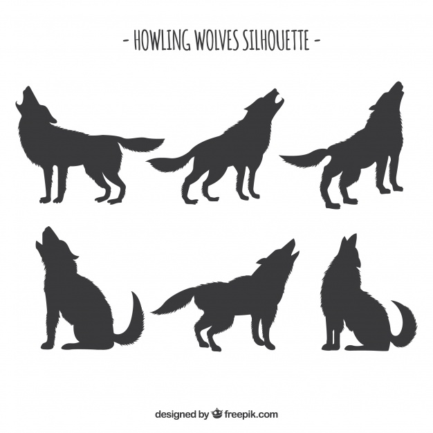 626x626 Set Of Wolf Silhouettes Vector Free Download