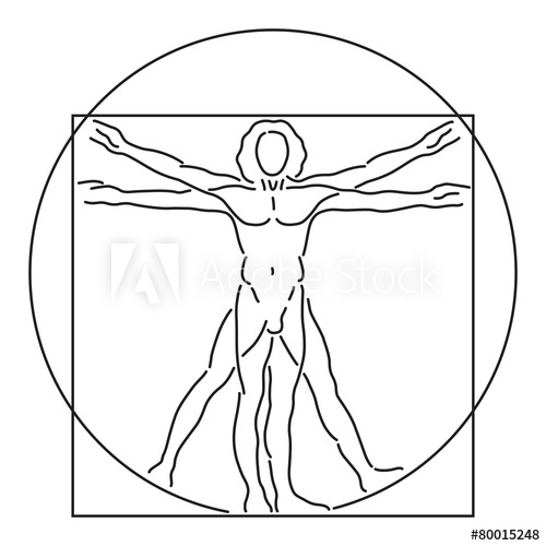 500x500 Leonardo Da Vinci Vitruvian Man, Human Anatomy, Vector Line Art