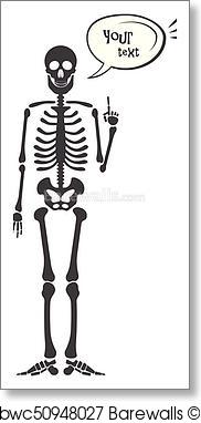 182x382 Art Print Of Skeleton Human Anatomy. Vector Halloween Black