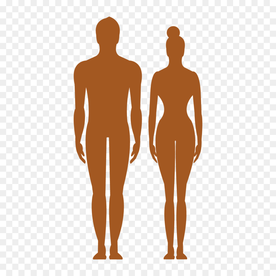 900x900 Human Body Silhouette Clip Art