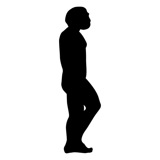 Human Evolution Vector At Getdrawings Free Download