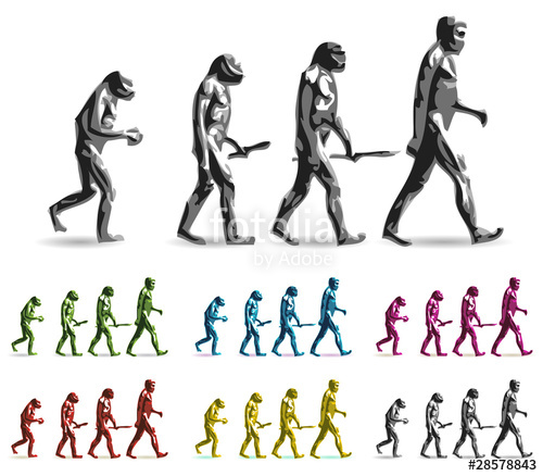 500x438 Human Evolution Stock Image And Royalty Free Vector Files On