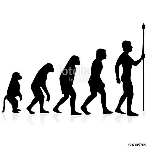500x500 Human Evolution.vector Stock Image And Royalty Free Vector Files
