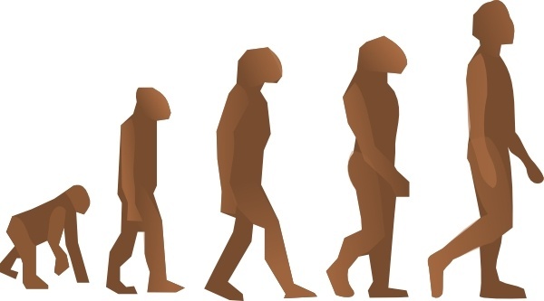 600x333 Evolution Vector Download Free Vector Download (21 Free Vector