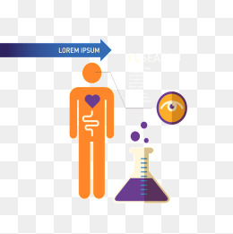 260x261 Human Figure Png, Vectors, Psd, And Clipart For Free Download