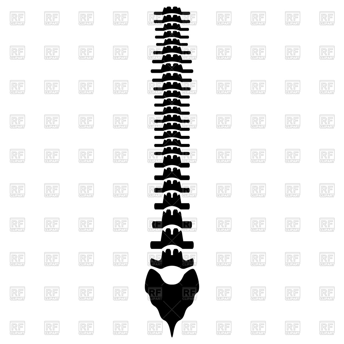 1200x1200 Human Spine Black Color Icon Vector Image Vector Artwork Of