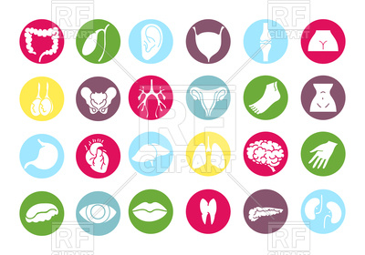 400x280 Set Of Human Internal Organs And Parts Of The Body Icons Vector