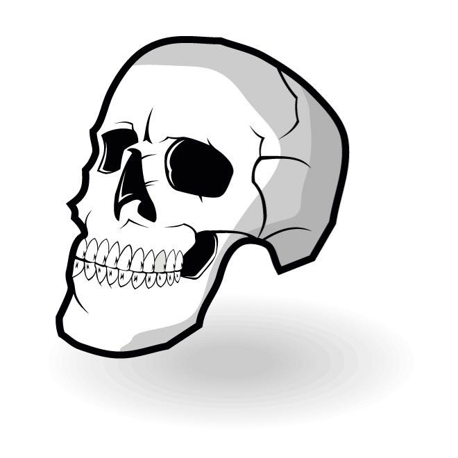 660x660 Human Skull Vector Graphics.eps Free Vectors Ui Download