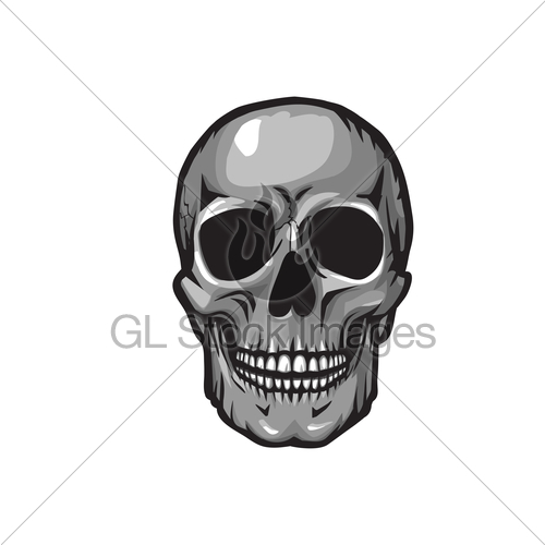 500x500 Human Skull, Vector Illustration Gl Stock Images