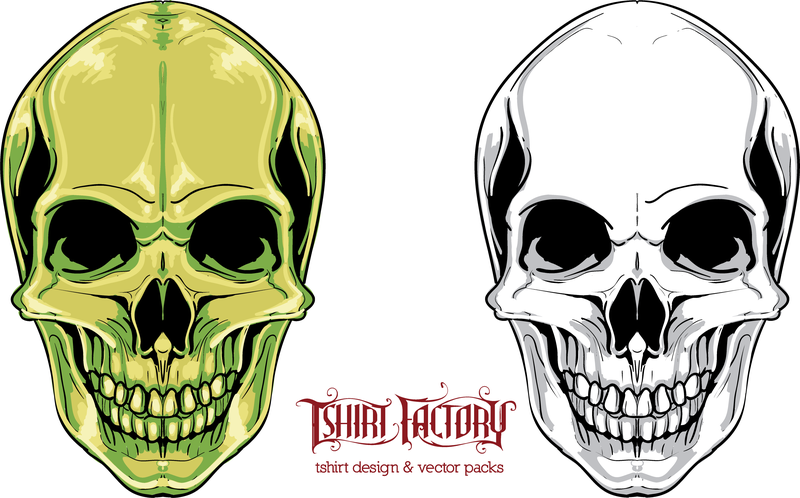 800x498 Human Skull Vector