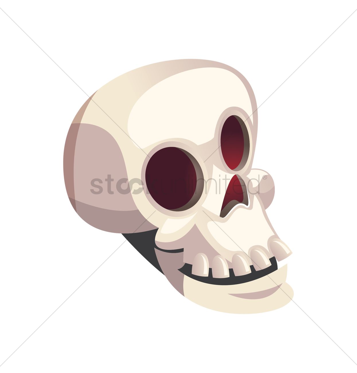 1245x1300 Human Skull Vector Image