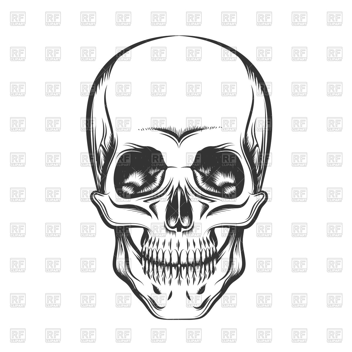 1200x1200 Black And White Human Skull Vector Image Vector Artwork Of