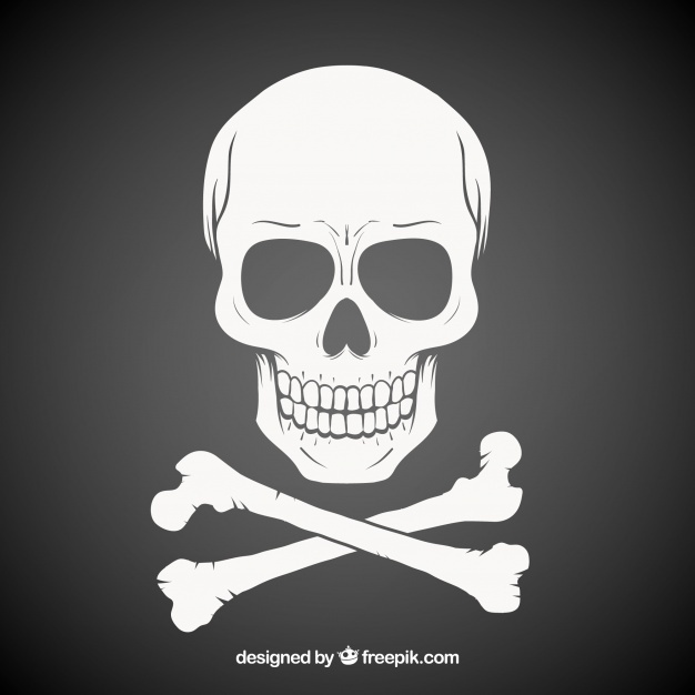 626x626 Skull Vectors, Photos And Psd Files Free Download